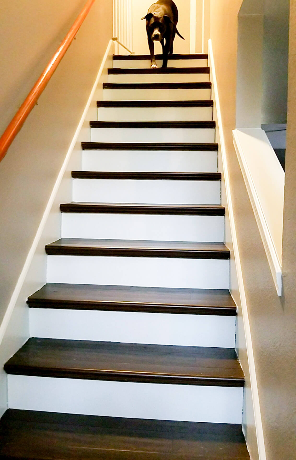 How To Install Hardwood Flooring On Stairs With Nosing ...